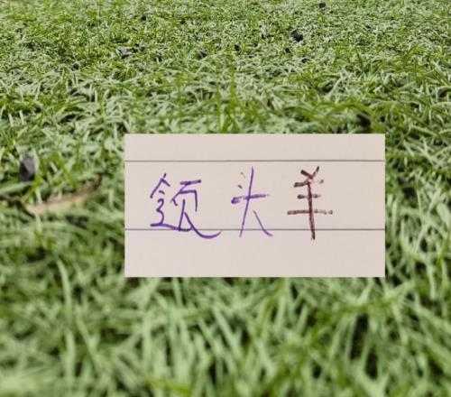 中超第11轮！领头成为进球最多+失球也最少球队