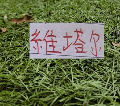 中超三大豪门依然打卡全勤只有卫冕冠军维塔尔北京国安孔特