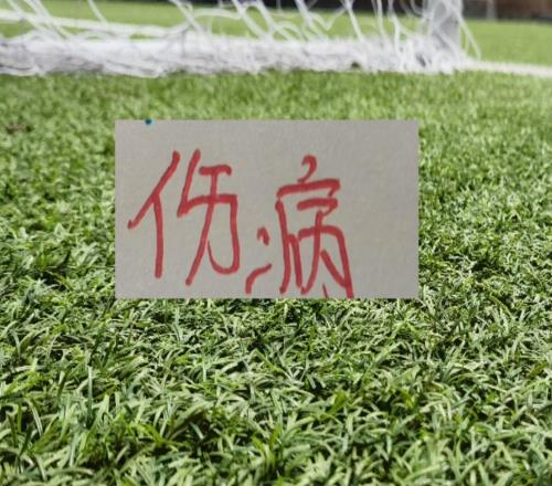 庆幸！北京国安+申花阵容厚度够肥能玩得自损500伤敌1000打法