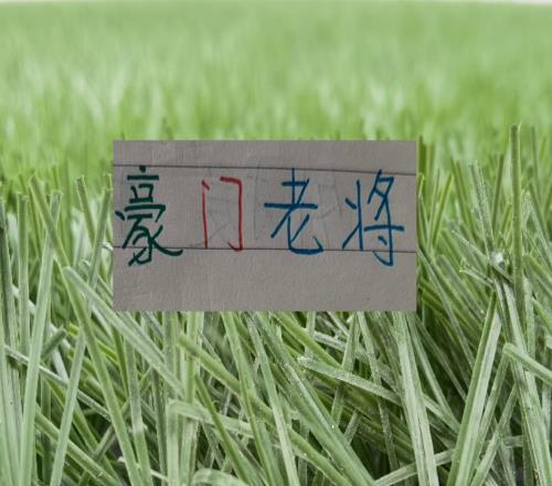 中超三大豪门老将！没想到海港之王武磊是出场次数最多之一