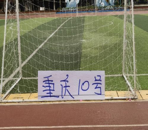 中超前8轮不败的球队前申花第一兽腰阿马杜含金量还在提升