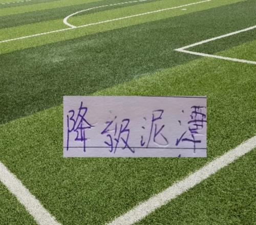 青岛海牛积分转正！北京国安保级就危险8轮下来他们相差就是2分