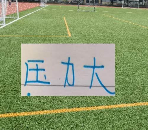 冰火两重天！四大澳洲教头浙江跟北京国安主帅不好过谁会先下课