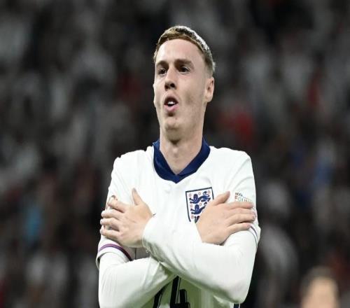 乔科尔：英格兰世界杯26人名单里，必须给帕尔默留一个位置