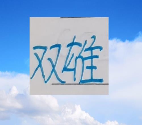 谁是中超最好边后卫申花就有马纳法海港有队长王燊超