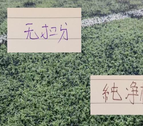 半程未扣分纯净积分榜不扣分申花也是挤进前5豪门