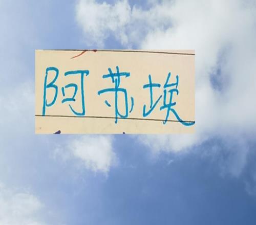 申花首秀就拉胯北京国安后防的阿苏