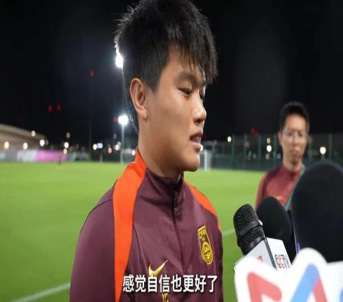 反转媒体人称杨希加盟上海海港已成定局