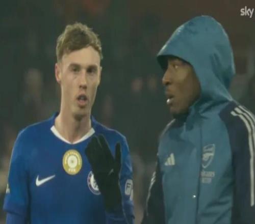 专家解读马杜埃凯赛后密语帕尔默：回来就好，你该去世界杯