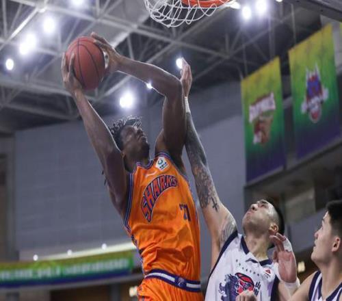 上海29分狂胜进决赛！超级外援2战52+15统治比赛，卢伟剑指2连冠