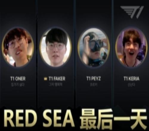 T1官方发布沙特生存记最后一天：潜水、DIY划艇、逛植物园