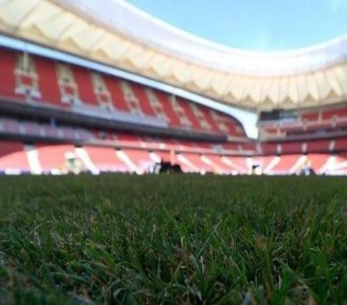 世体：由于马德里连续10天下雨，马竞主场草皮会比较泥泞