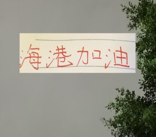 海港半个主力阵容也能在亚冠拿到一分在中超全主力那不更厉害