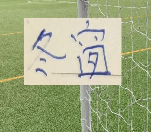 中超法国外援！有北京国安的恩科洛洛重庆梁铁龙的阿马杜