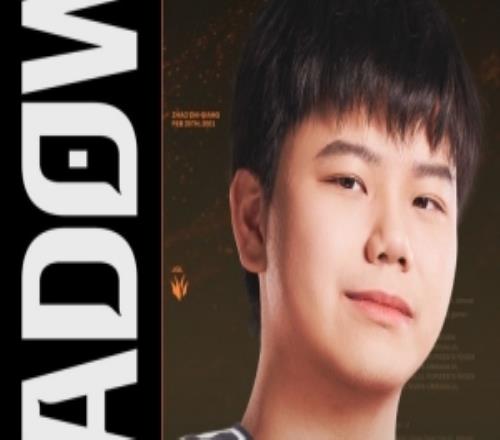 CFO打野Shadow更新动态：十五个小时飞机有十个小时都在颠簸