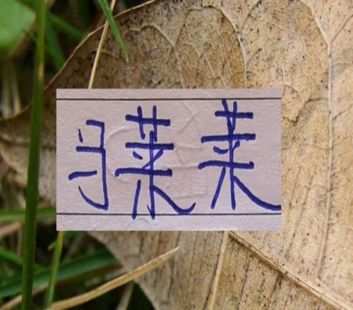 中超里面的“魔兽”申花有盖伊大连英博有马莱莱蓉城有棍锋