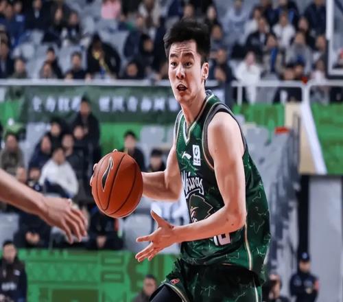 CBA本季最惊艳的4名球员：2人直接打进国家队，1人跃升本土得分王