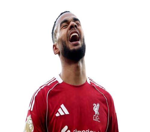 前曼联助教：加克波在利物浦很开心，但也有可能寻求新的挑战