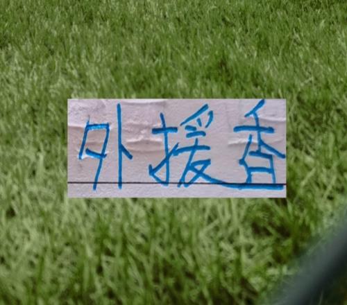 中超三大豪门这10年大手笔引援申花是瓜林海港是奥斯卡