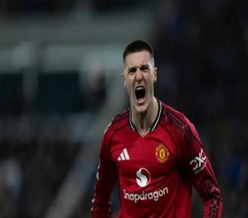 希勒：卡里克不让谢什科首发是有原因的，等他坐稳主力再评判