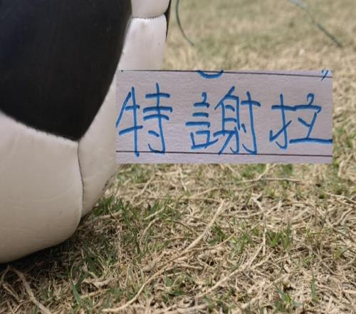 葡萄牙外援+教练给力！本轮申花特谢拉北京国安发飙都进球了