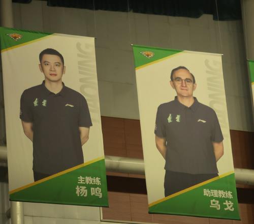 杨鸣又看辽篮比赛心系母队！主教练画像也仍然保留，他还会回来吗