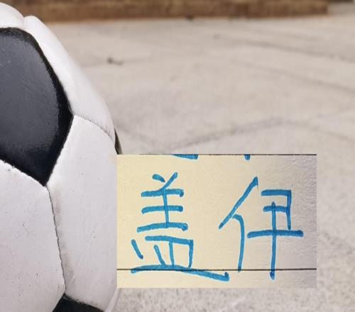 申花盖伊伤到只能用“复杂”来说