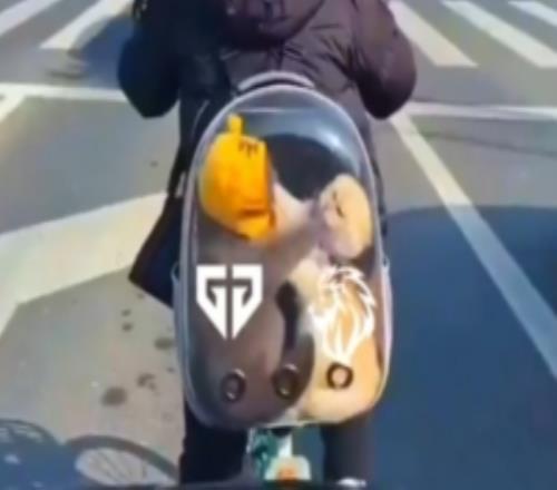 LYON发布对阵GEN赛前视频：画面可能令人不适请谨慎观看