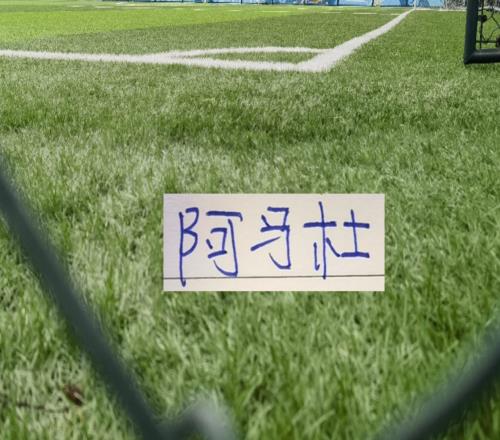 中超球队找到高级货成都是席尔瓦重庆是前申花第一兽腰阿马杜