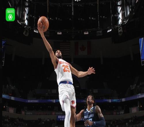 尼克斯130119灰熊止3连败，阿奴诺比25+13，唐斯大三双