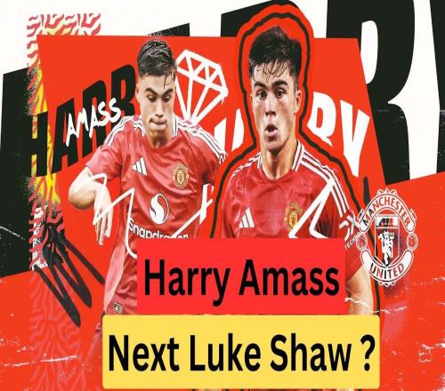 曼联新卢克肖赛季提前结束！冬窗错误操作阻碍发展，英冠球队炮轰