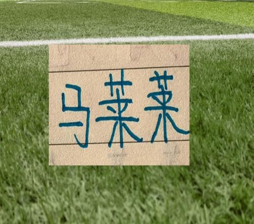 前申花外援就是香！马莱莱成为大连杀手