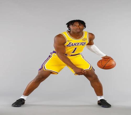 范德彪复出3场又躺平，湖人替补席真敢这么玩